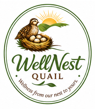 WellNest Quails & Quail Eggs